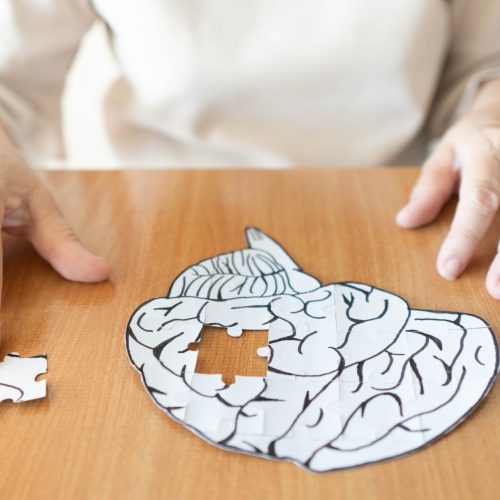 Elderly woman hands putting missing white jigsaw puzzle piece down into the place as a human brain shape. Creative idea for memory loss, dementia, Alzheimer's disease and mental health concept.